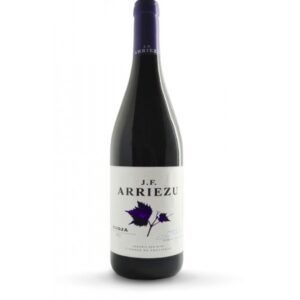 J. F. Arriezu Joven 2024